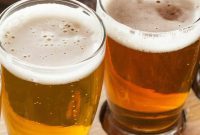 The 2025 Gluten-Free and Low Gluten Beer Guide Simplified