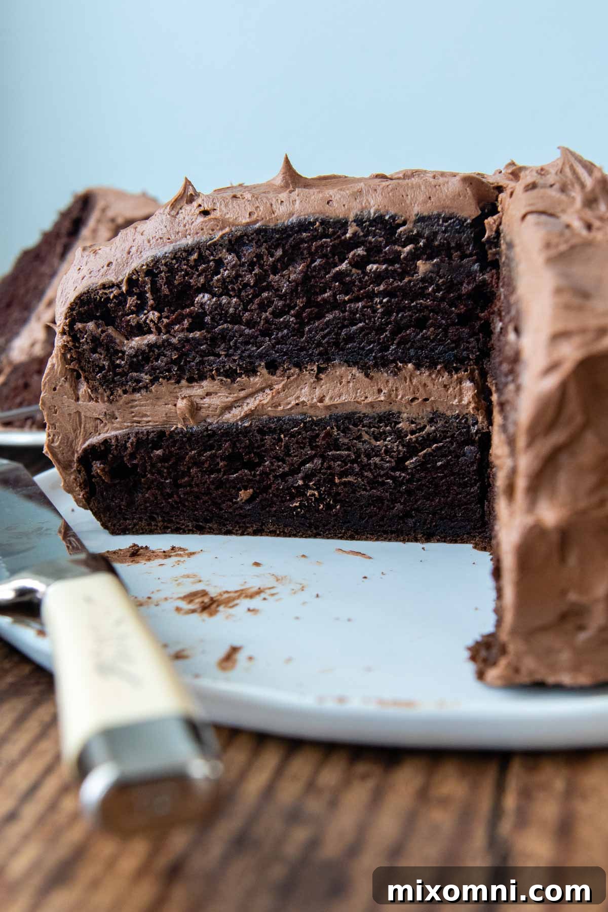 A perfectly sliced chocolate layer cake revealing its moist, rich interior.
