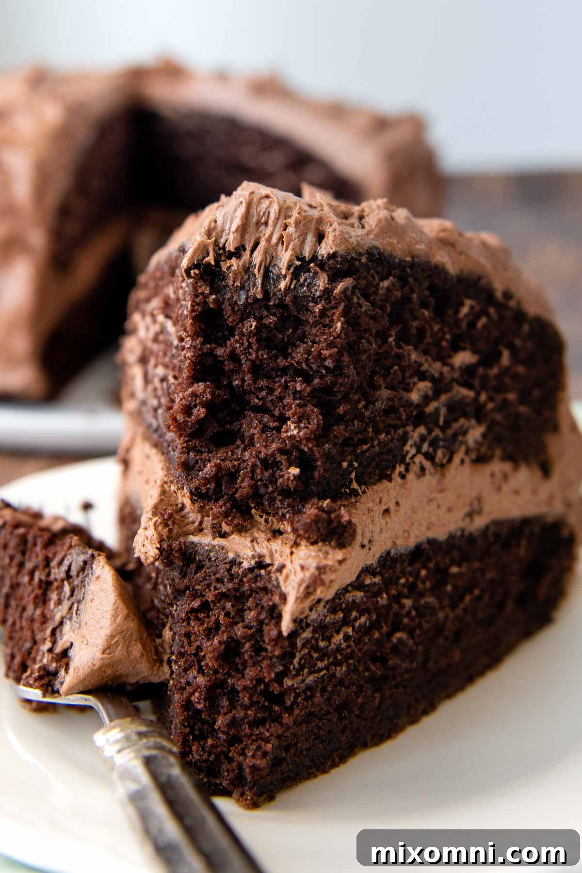 A delectable piece of gluten-free chocolate cake with a bite taken out, resting on a plate.