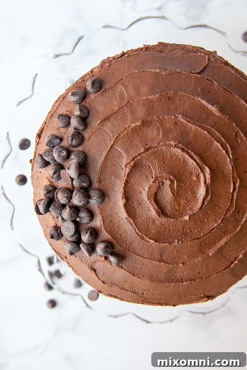 An overhead view of a chocolate cake with mini chocolate chips scattered on top, ready for serving.