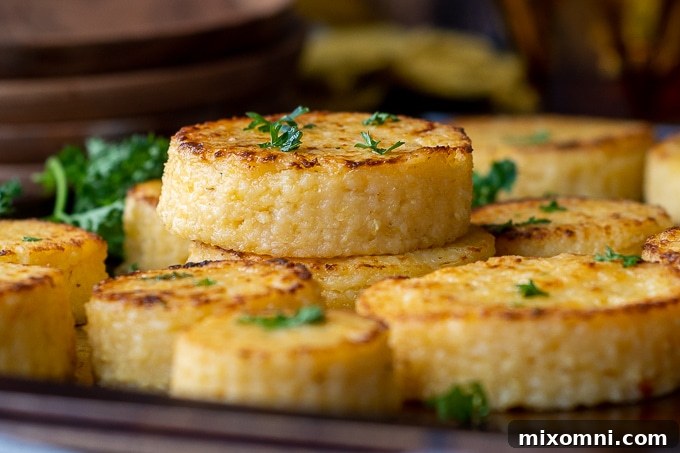 Close-up side angle shot of two crispy, cheesy grit cakes stacked on top of each other, showcasing their texture.