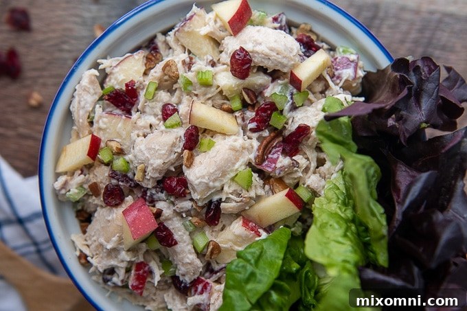 An overhead shot of cranberry chicken salad presented in a decorative bowl, surrounded by fresh lettuce leaves, ready to be served.
