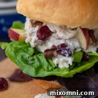 A close-up shot of a finished cranberry chicken salad, highlighting its vibrant ingredients, ready to be served.