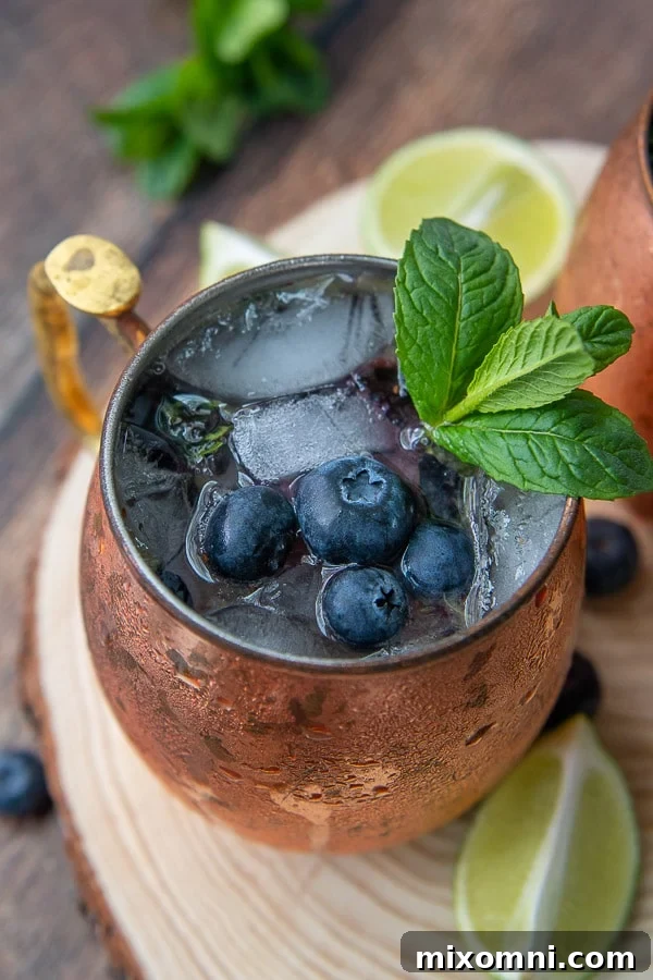 A side-angle shot of a refreshing Blueberry Moscow Mule cocktail, garnished with fresh lime wedges and a sprig of mint, highlighting its vibrant color and icy appeal.