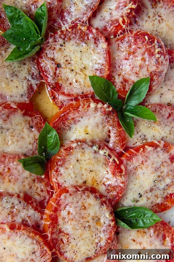 A pan of golden, bubbly baked tomatoes topped with melted cheese and fresh basil