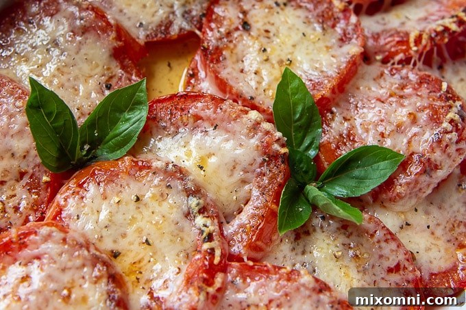 Close up of baked tomato slices with Parmesan cheese and sprigs of fresh basil