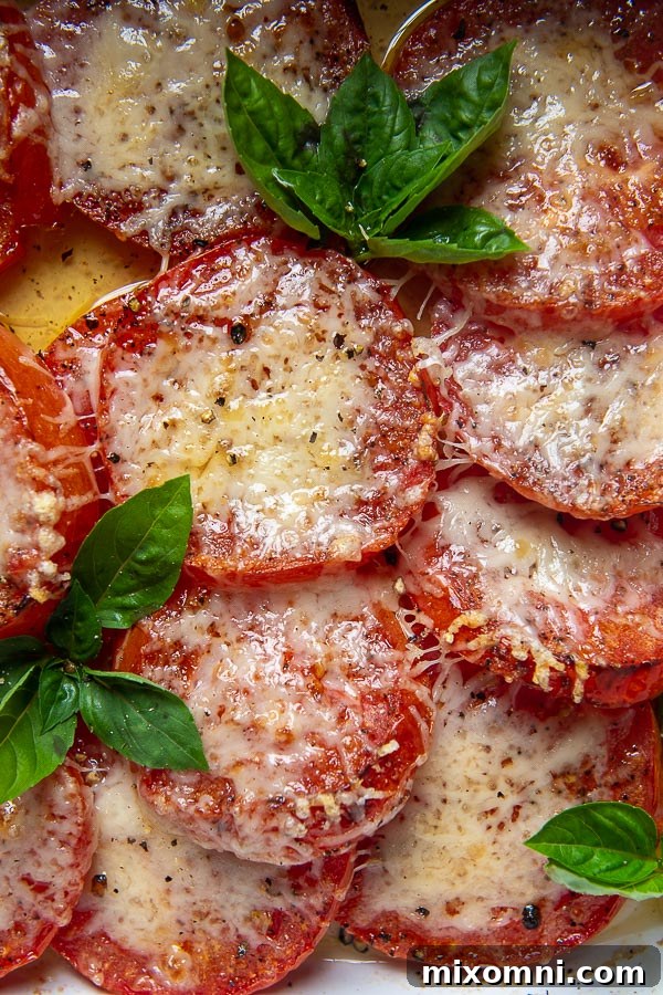 Another angle of sliced tomatoes with sprigs of fresh basil tucked in