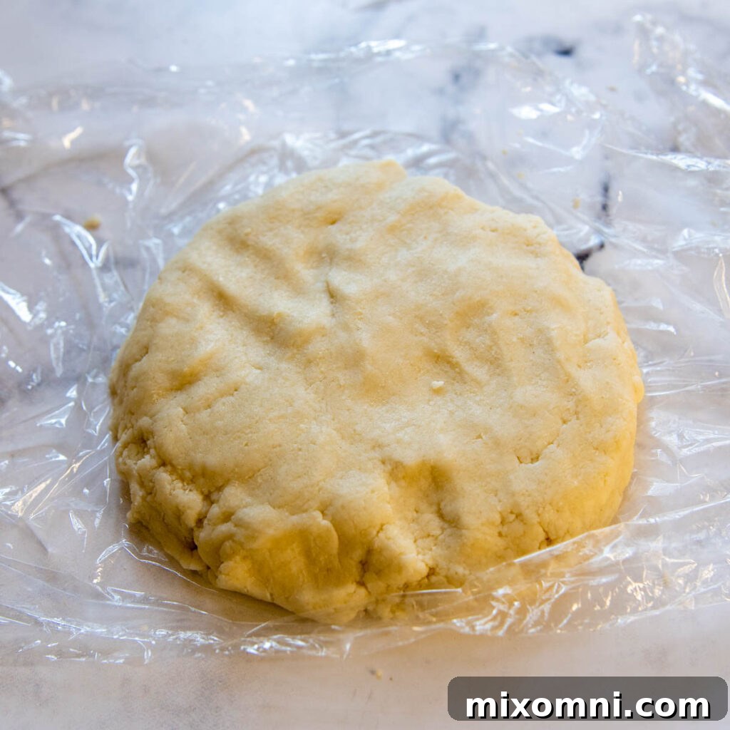 a thick disc of pie dough on plastic wrap.