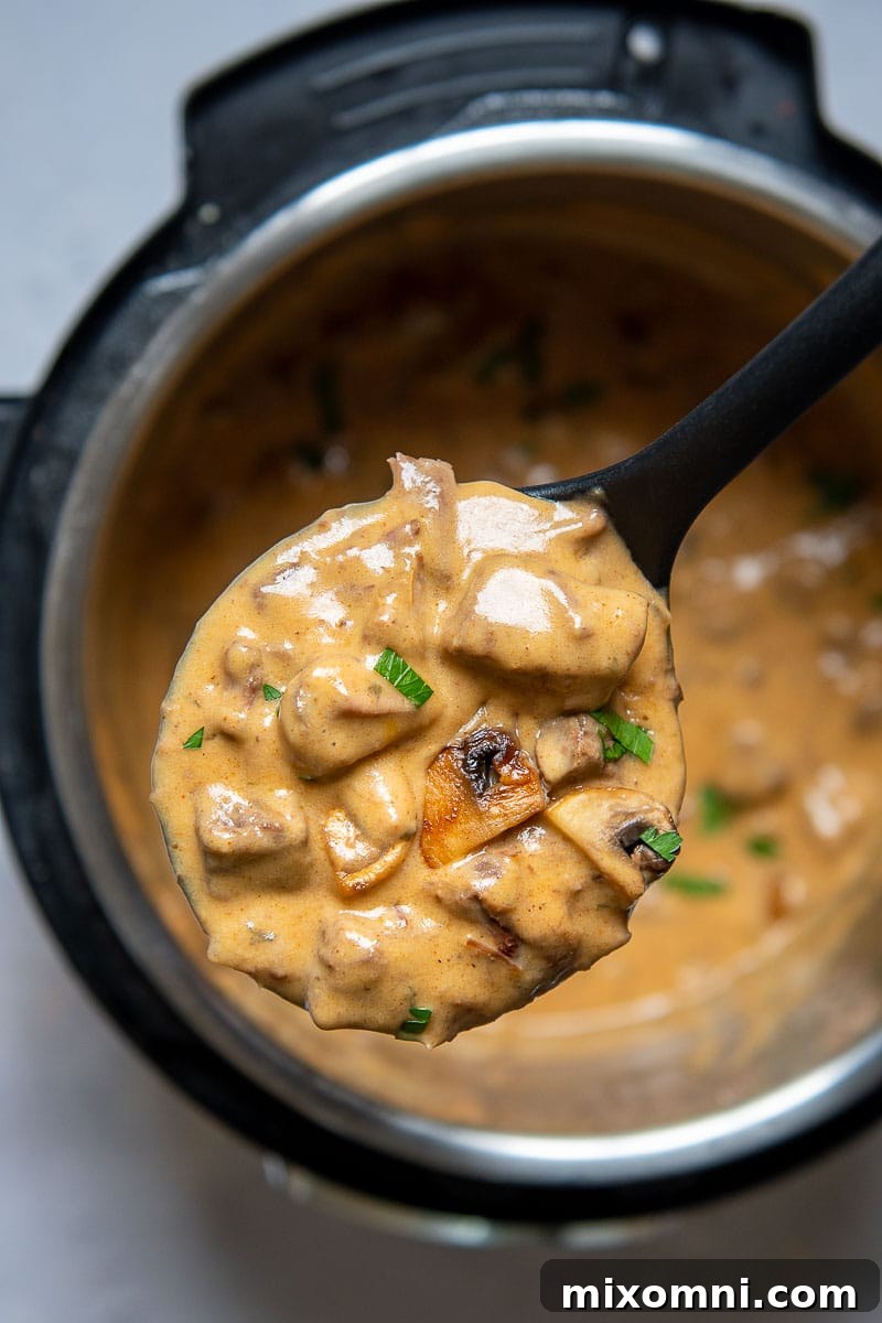 a ladle full of beef stroganoff coming out of the instant pot