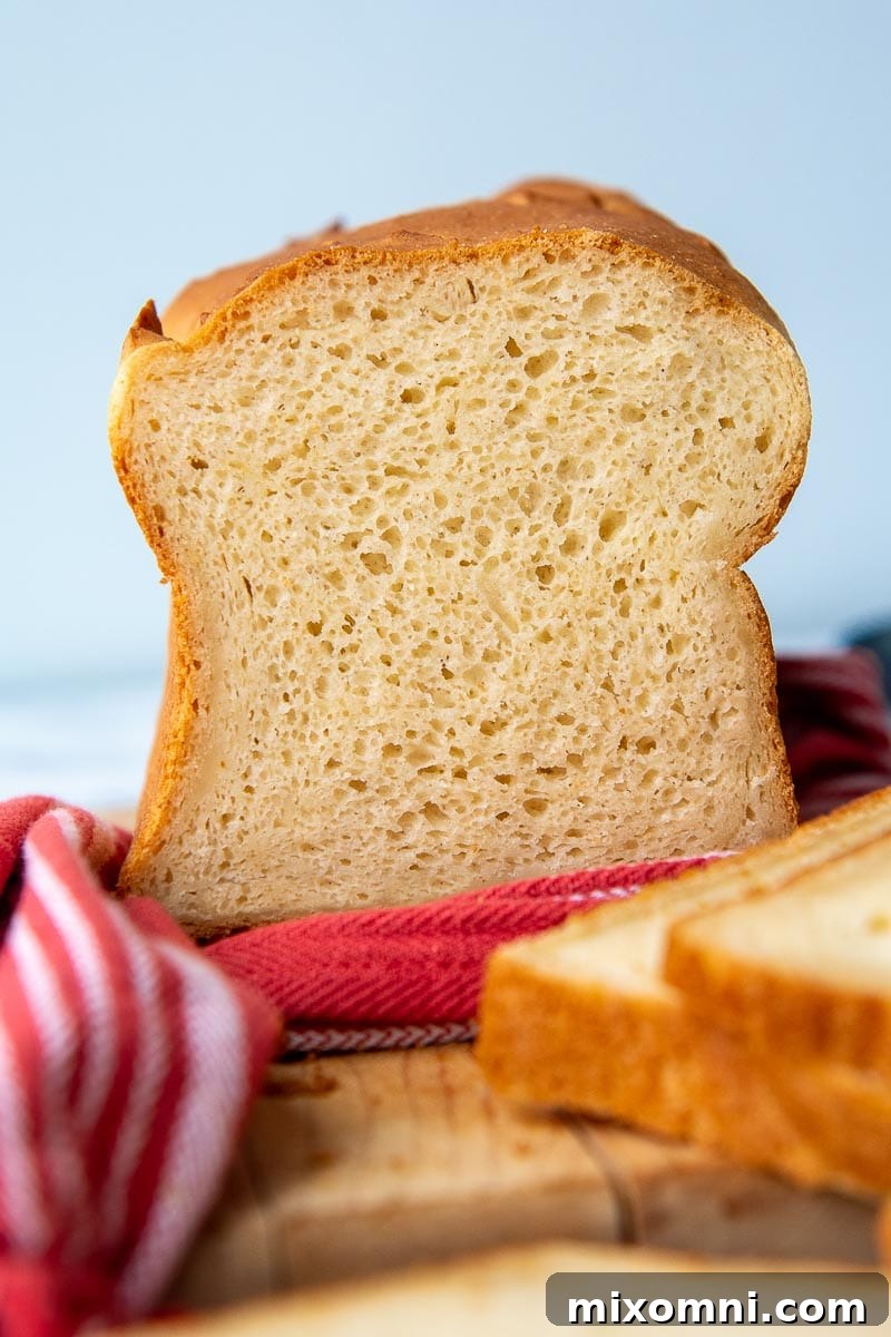 The soft, open crumb interior of a perfectly baked gluten-free bread loaf, facing the camera.