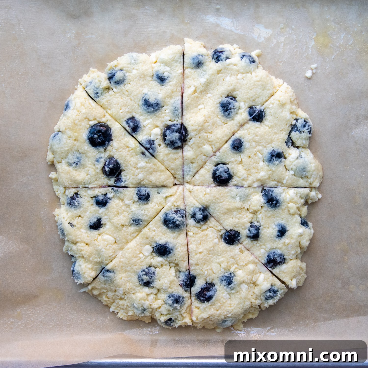 A thick scone dough disc, studded with blueberries, perfectly cut into eight unbaked wedges.