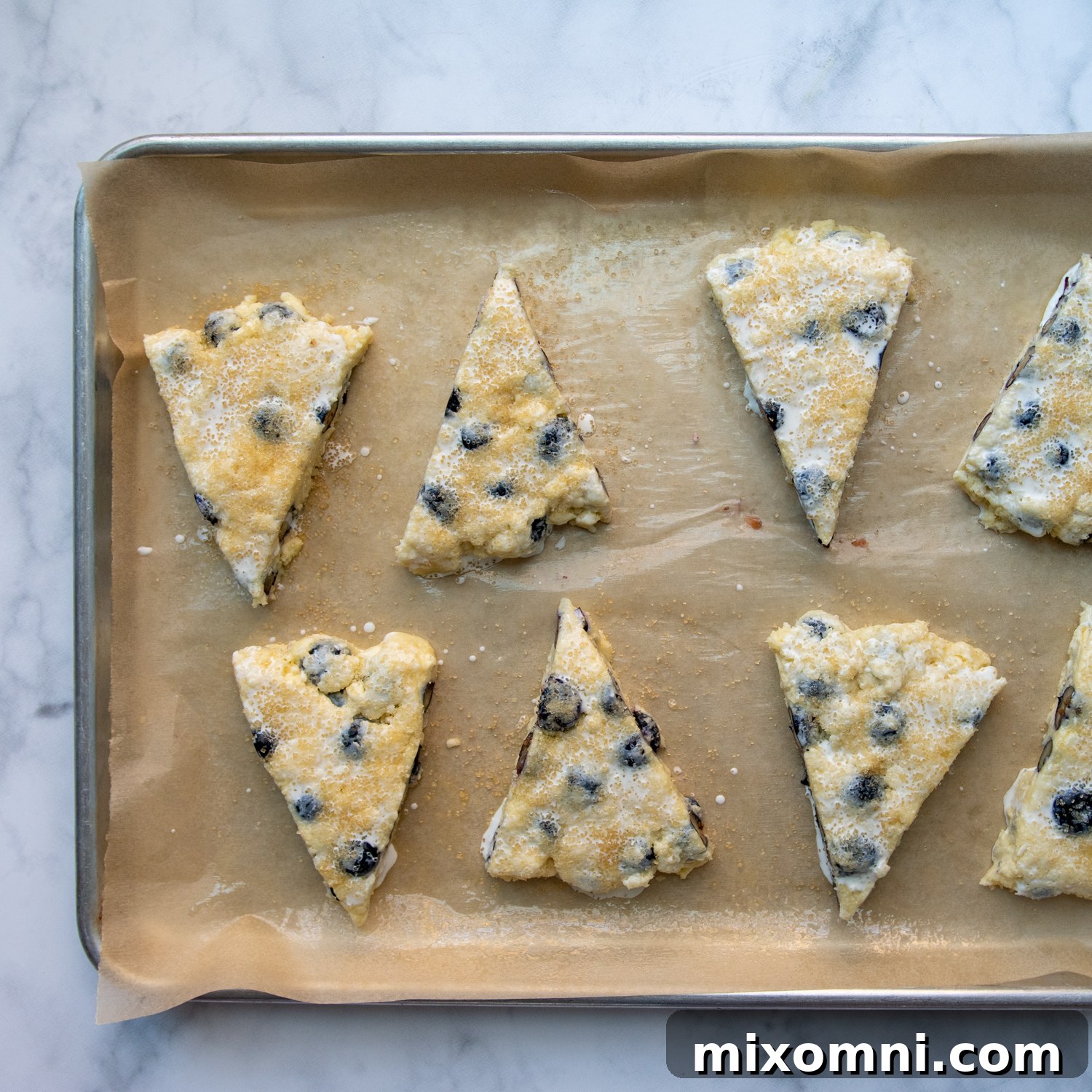 Eight unbaked gluten-free scones, separated and arranged on a parchment-lined baking sheet, ready for the oven.