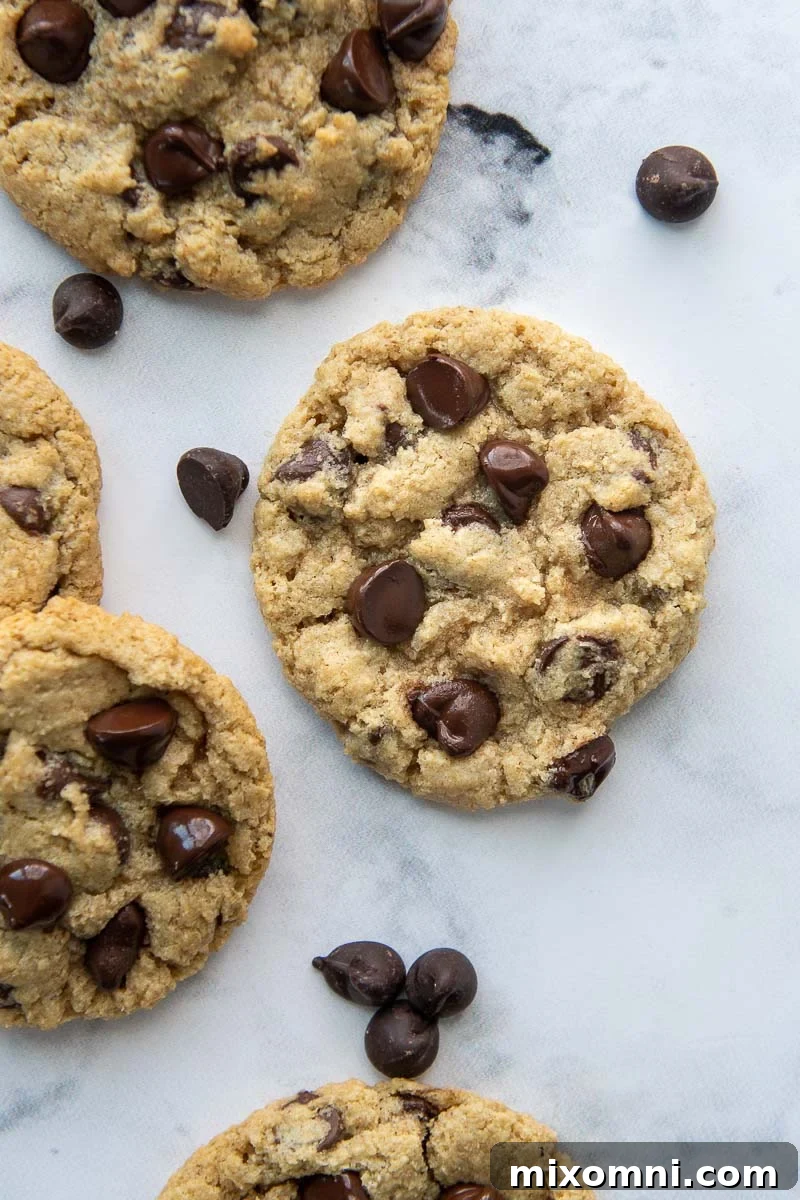 Overhead shot of freshly baked chocolate chip oat flour cookies laid flat, with scattered chocolate chips around them.