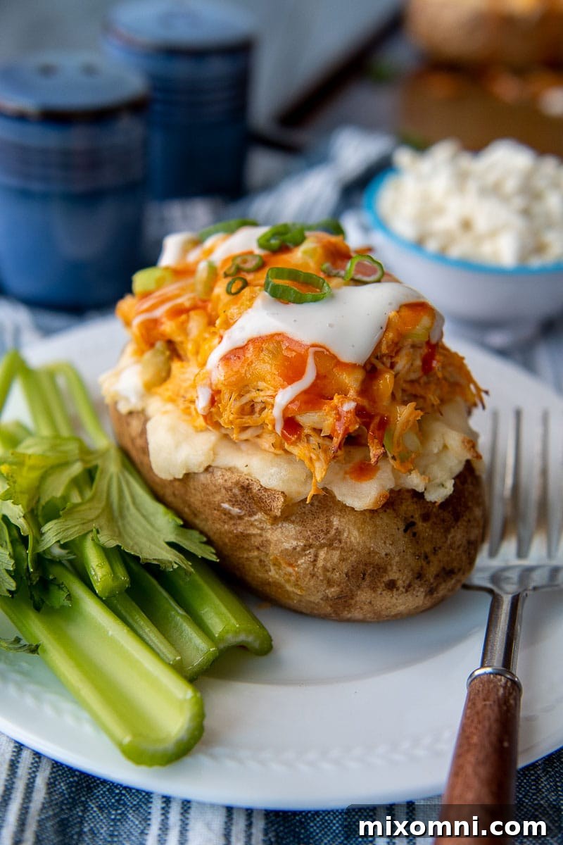 A beautifully presented white plate features a generously stuffed buffalo chicken potato alongside crisp celery and a drizzle of ranch, highlighting the complete and balanced meal.