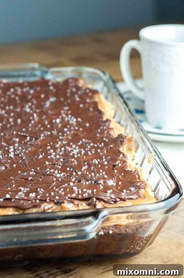 Buckeye Turtle Brownies layered with fudgy brownies, creamy peanut butter topping, sweet salty caramel pecans, and drizzled with salted chocolate, a true dessert masterpiece.