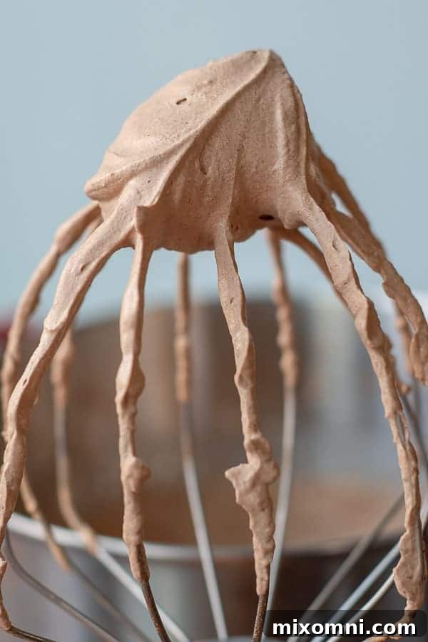 A whisk attachment covered in freshly whipped chocolate cream frosting.