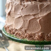 A cake on a green cake stand with chocolate whipped cream frosting all over it.