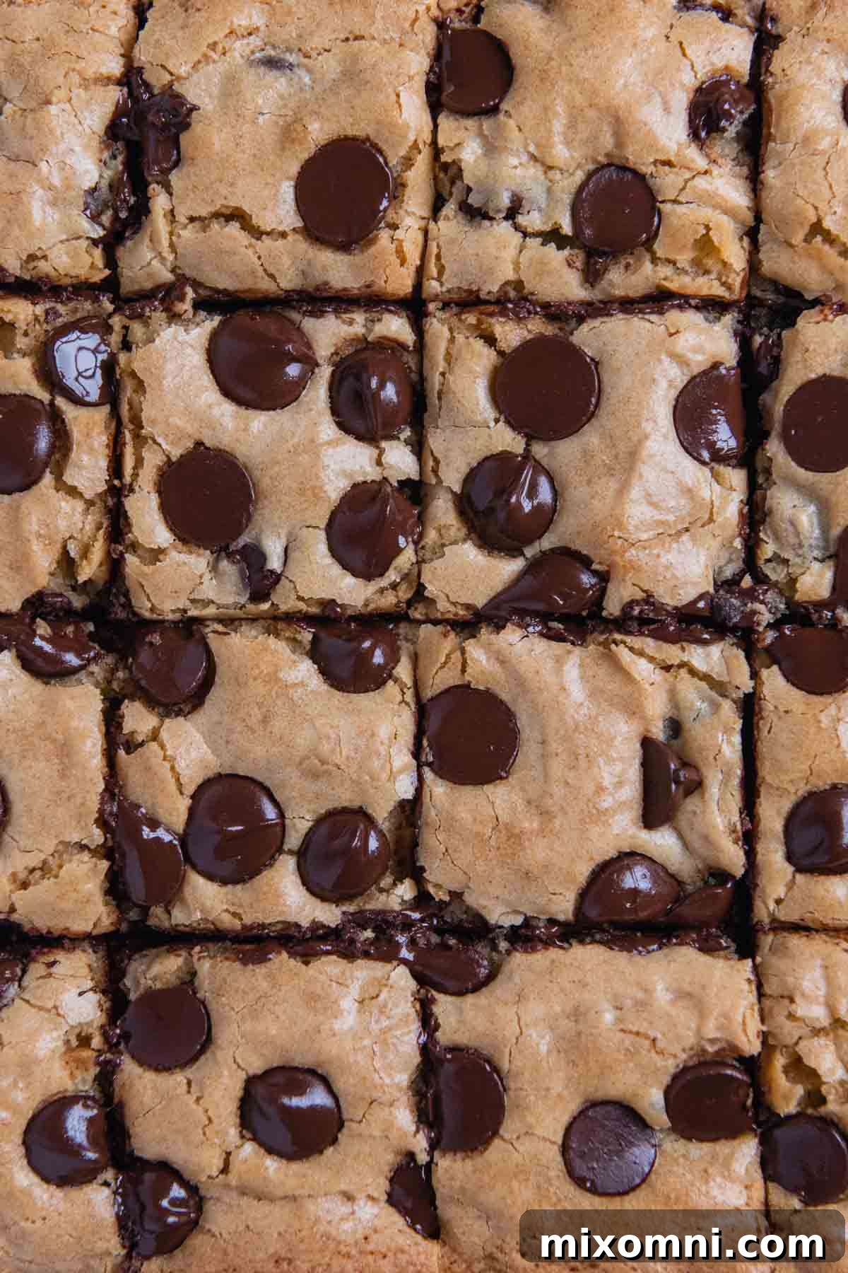 Overhead close-up shot of perfectly cut gluten-free blondies, showcasing their thick, chewy texture and abundant chocolate chips.