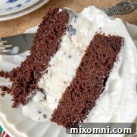 A piece of Baked Alaska cake on a white plate with ice cream slightly melting