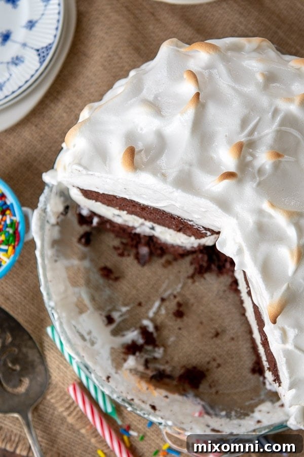 A close-up view of the golden-brown meringue topping of a Baked Alaska, perfectly toasted in the oven, showing its delightful peaks and texture.