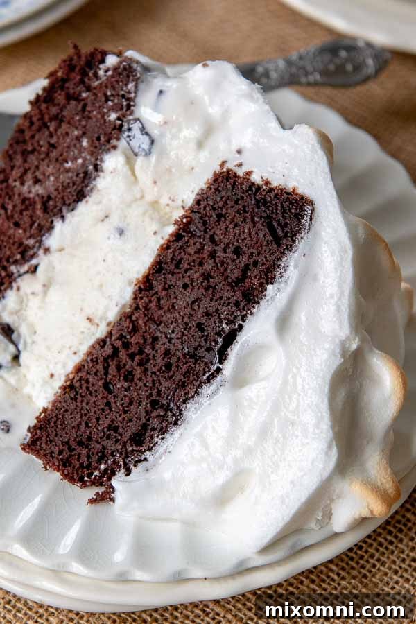 A close-up shot of the stunningly toasted meringue topping on a freshly baked Baked Alaska, highlighting its golden-brown color and delicate texture.
