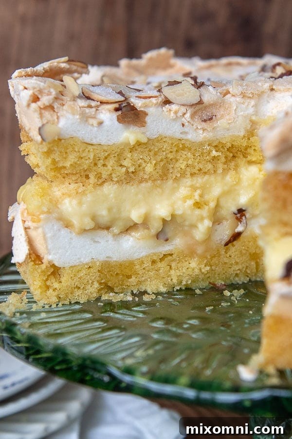 Close up of a slice of Blitz Torte showing the meringue, cake, and custard layers.