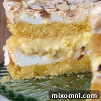 Close up of a sliced Blitz Torte with custard filling.