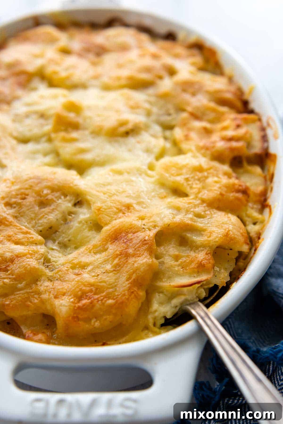 A spoon digging into a rich, creamy dish of baked au gratin potatoes.