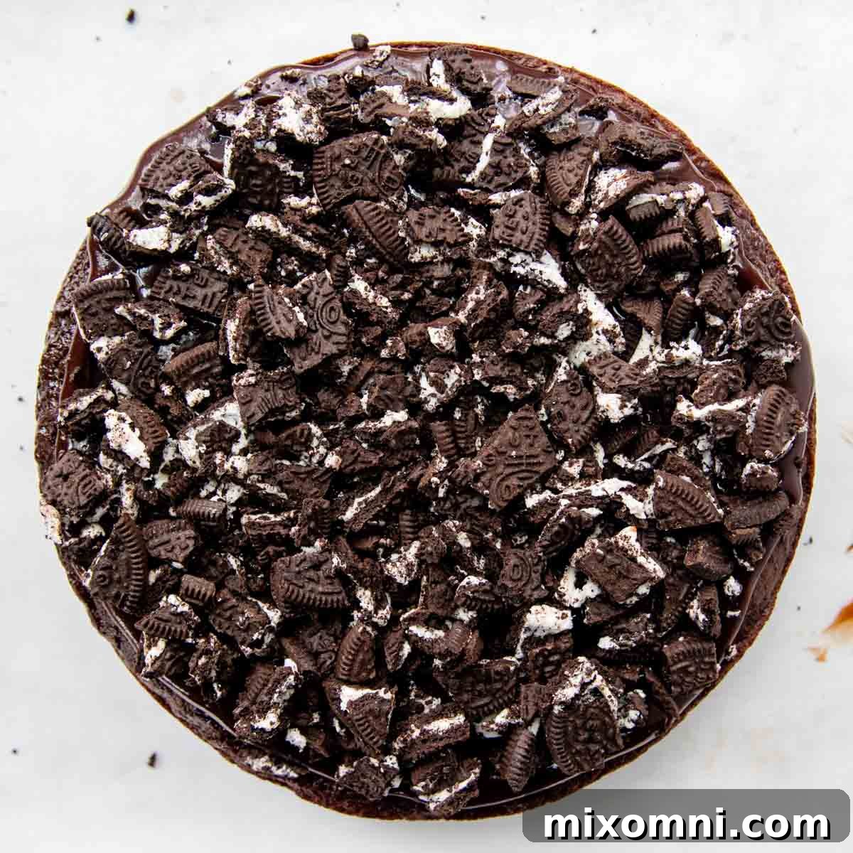 Crushed cookie crumbs sprinkled on top of the hot fudge layer.