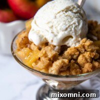 A serving of gluten-free apple crisp with a scoop of ice cream on top.