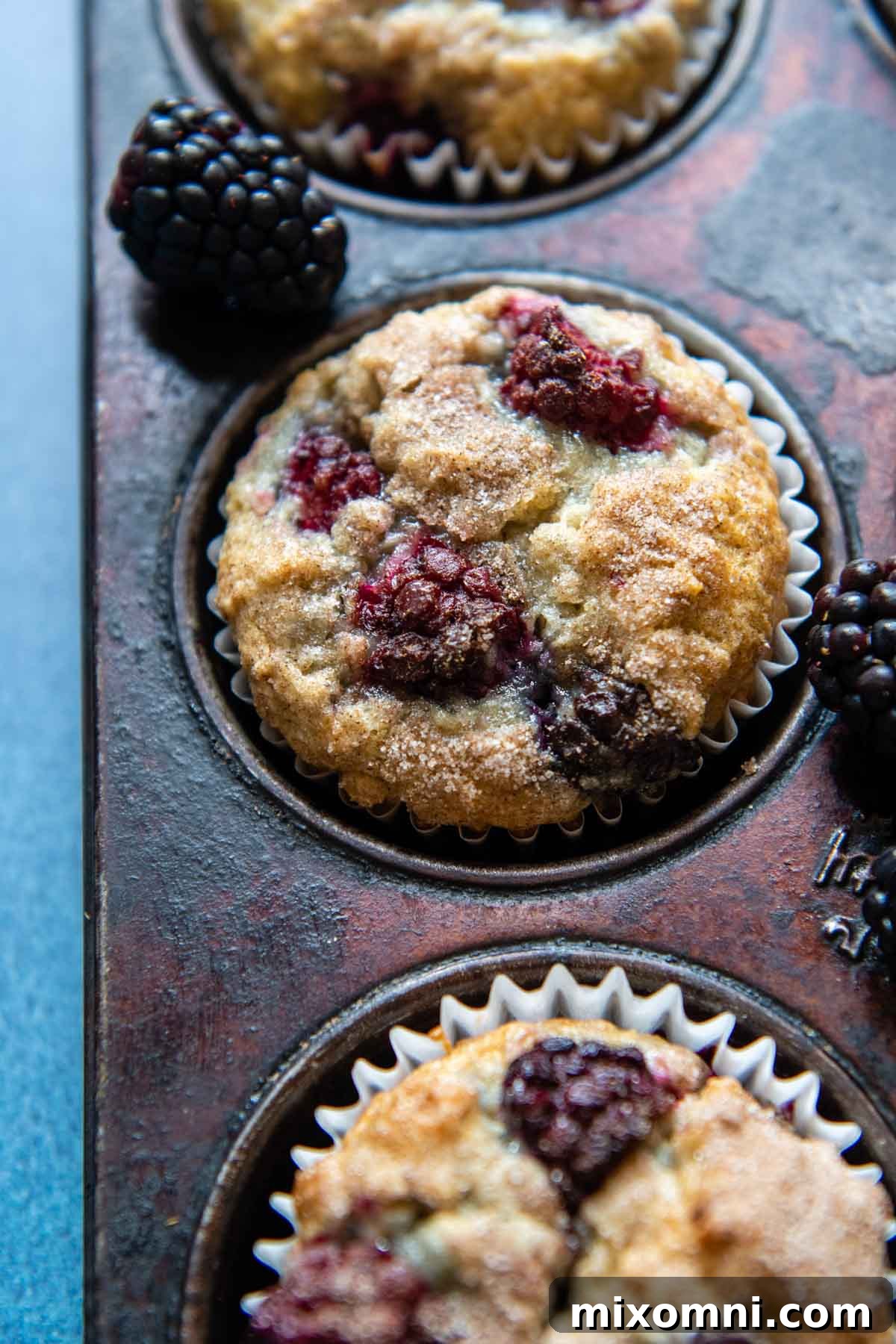 Close-up of a perfectly baked gluten-free blackberry muffin with a crunchy cinnamon sugar topping, highlighting its fluffy texture and visible juicy blackberries.