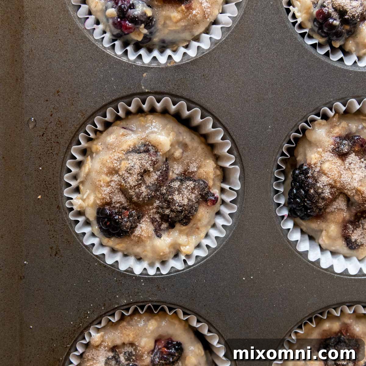 Unbaked gluten-free blackberry muffins carefully divided into muffin tins, topped with a sparkling cinnamon sugar mixture ready for the oven.