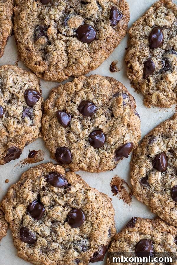 overhead shot of almond flour oatmeal cookies on a baking sheet