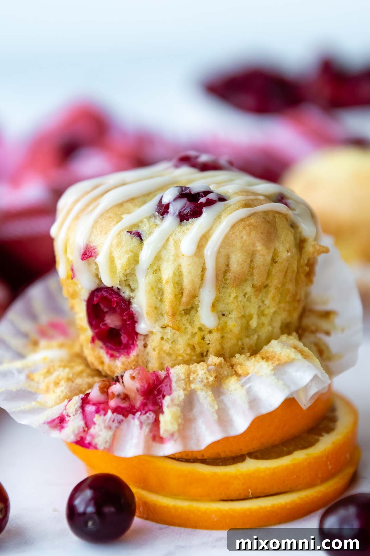 A perfectly glazed gluten-free cranberry orange muffin rests on a bed of sliced fresh oranges, highlighting its vibrant citrus notes.