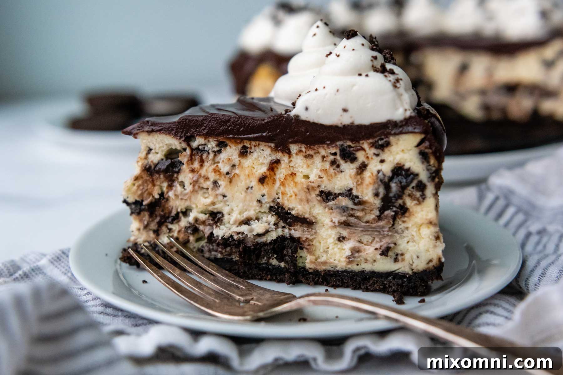 a slice of cheesecake with whipped cream on top.