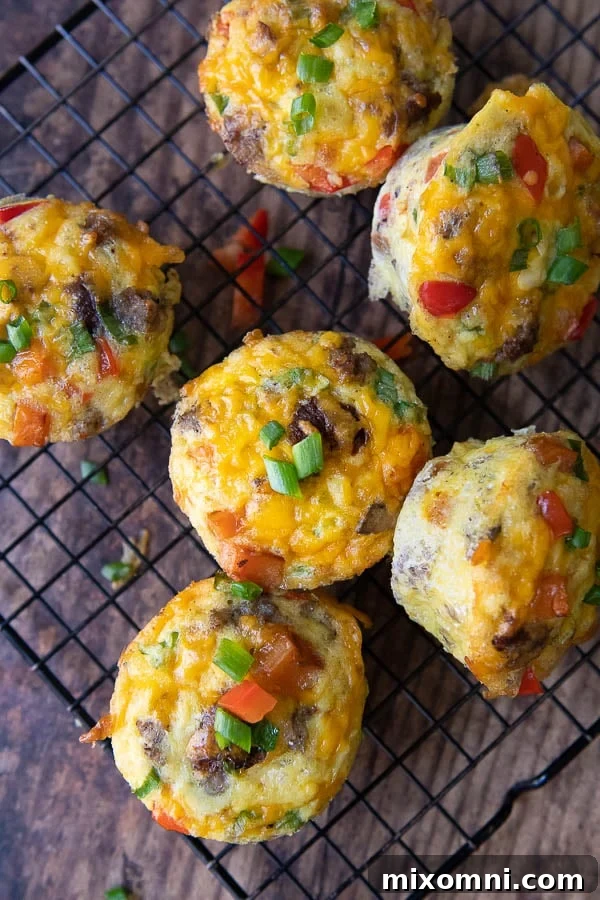 Overhead shot of several freshly baked breakfast egg muffins arranged on a wire rack.