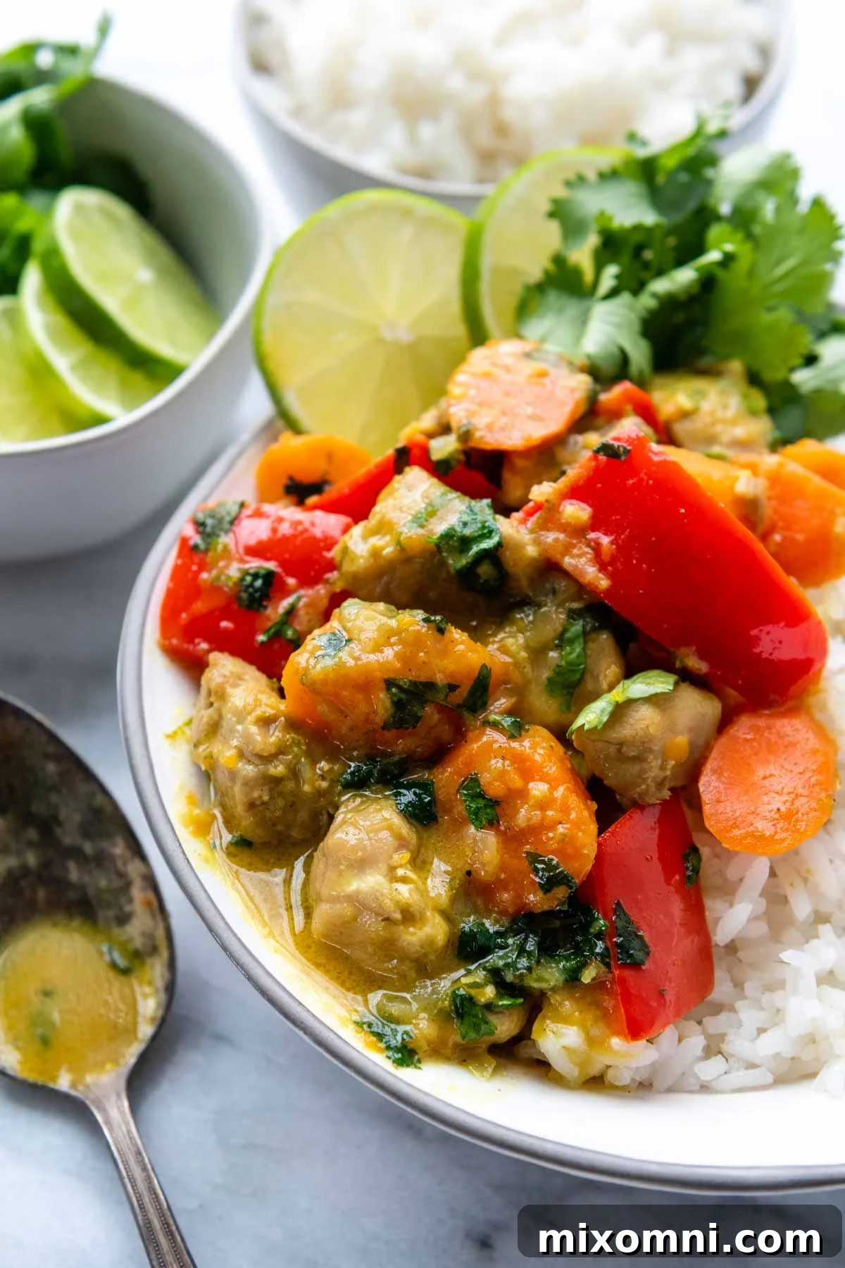 Close-up of a vibrant gluten-free coconut chicken curry dish, garnished with fresh cilantro, ready to be served.