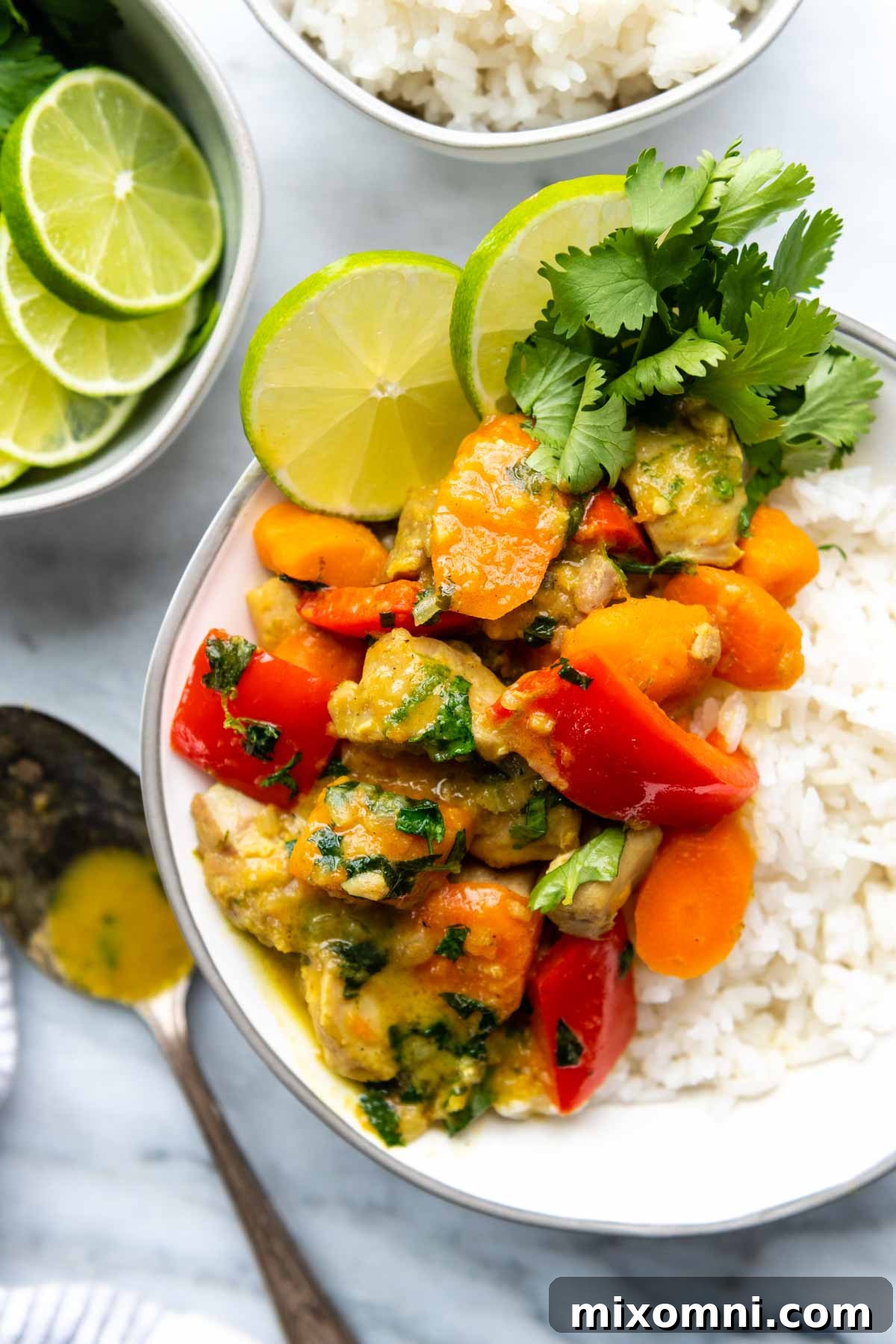 A close-up shot of the finished coconut chicken curry served over white rice in a pristine white bowl, showcasing its rich texture and vibrant colors.