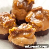 A close up shot of a plate of Easy Buckeye Turtles recipe