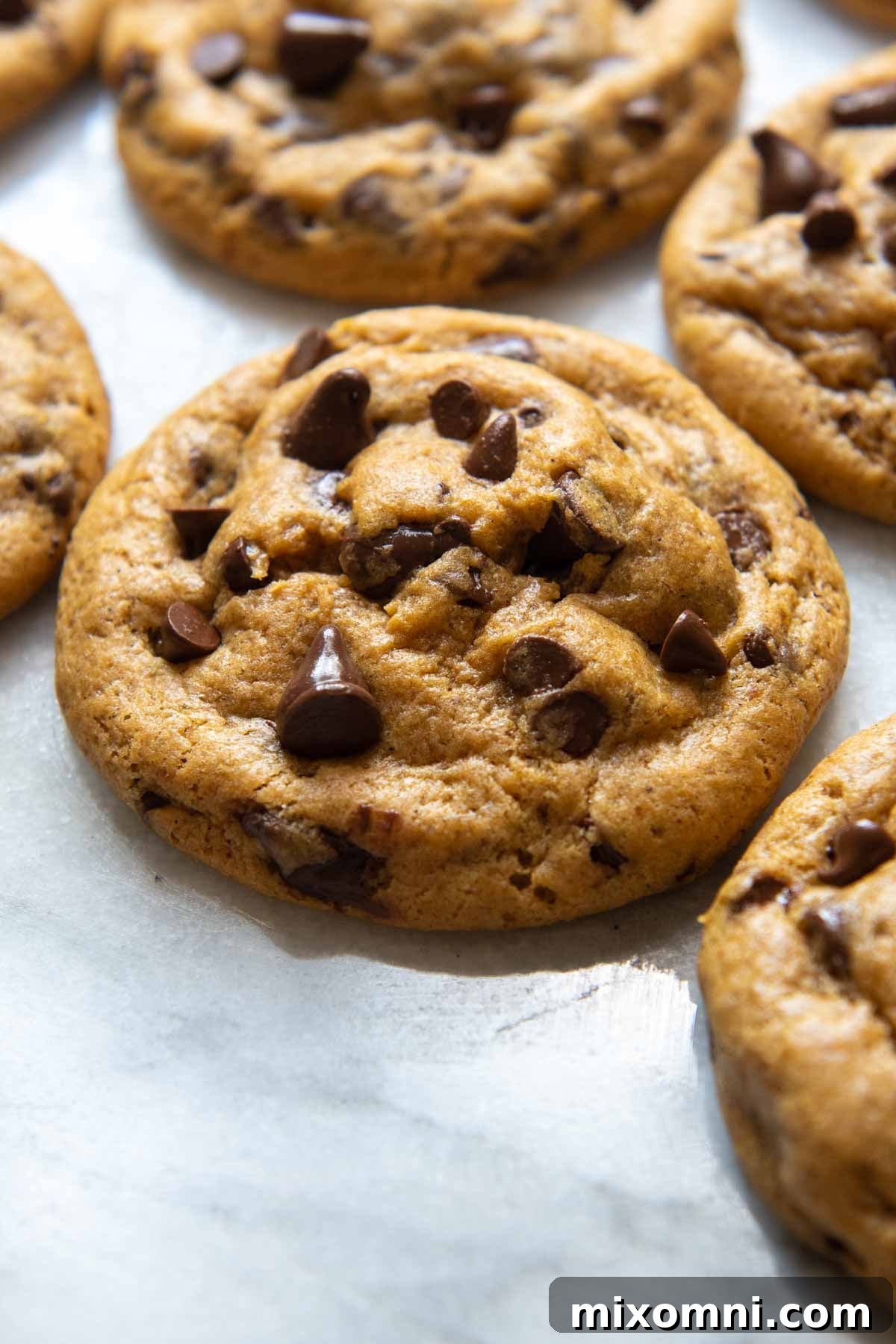 A perfectly baked gluten-free pumpkin cookie generously studded with chocolate chips, resting on a pristine white marble surface.