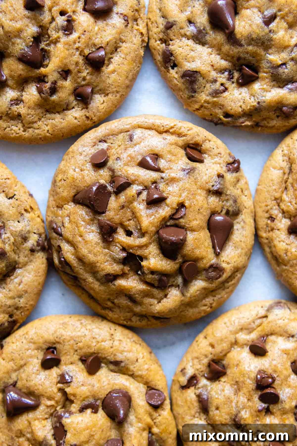 Freshly baked gluten-free pumpkin chocolate chip cookies arranged on a white surface, showcasing their soft, chewy texture and delicious appearance.