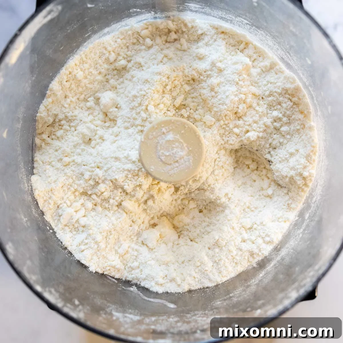 Gluten-free flour mixture combined with cubed butter in a food processor, ready for processing.