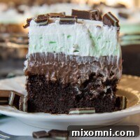 A slice of Andes Mint Chocolate Pudding Poke Cake on a white plate, ready to be enjoyed.