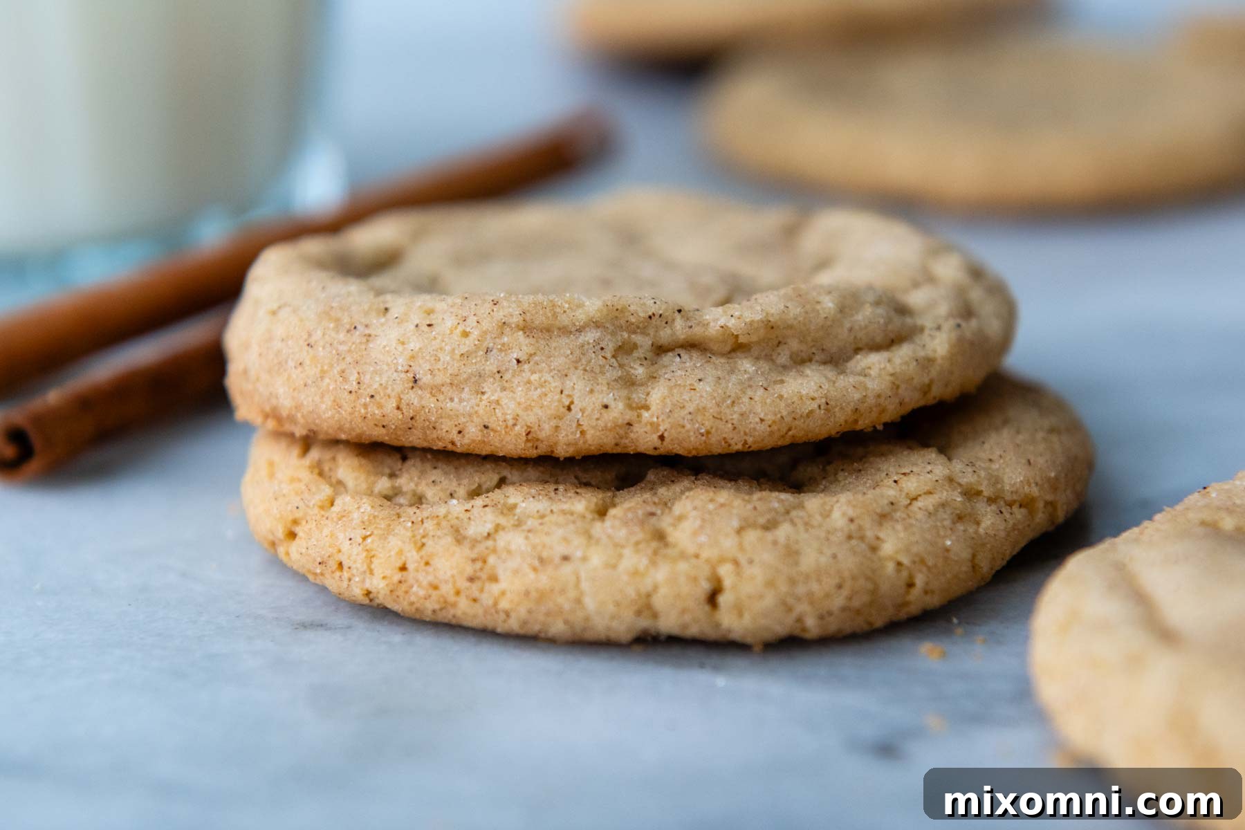 A close-up of two perfectly baked gluten-free snickerdoodle cookies, stacked on a white surface, showcasing their soft texture and cinnamon-sugar dusting.