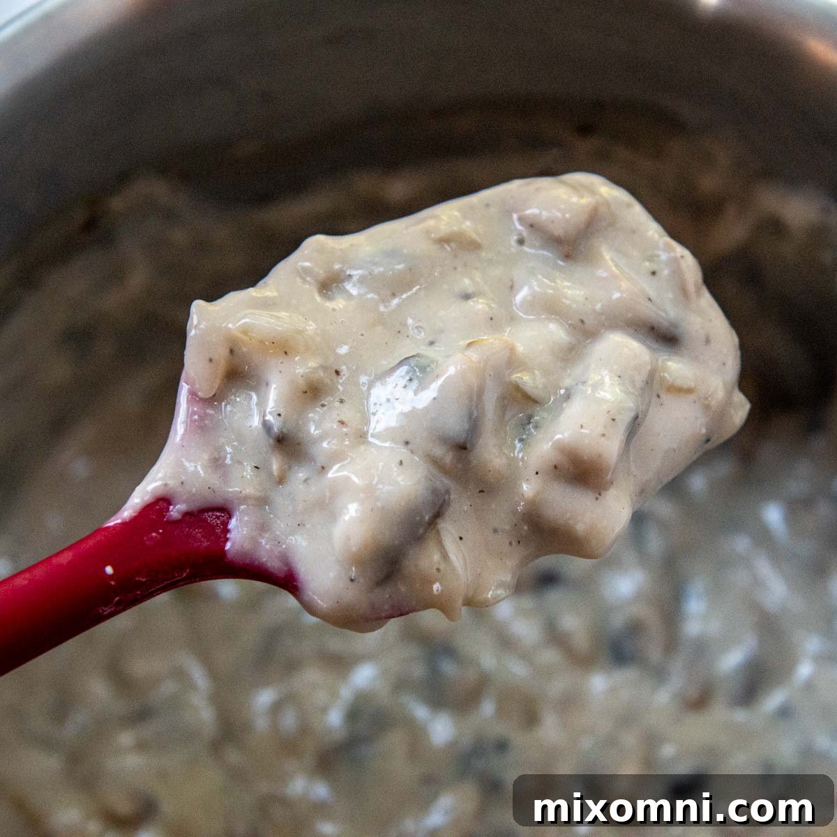 a spoon holding up mushroom sauce.