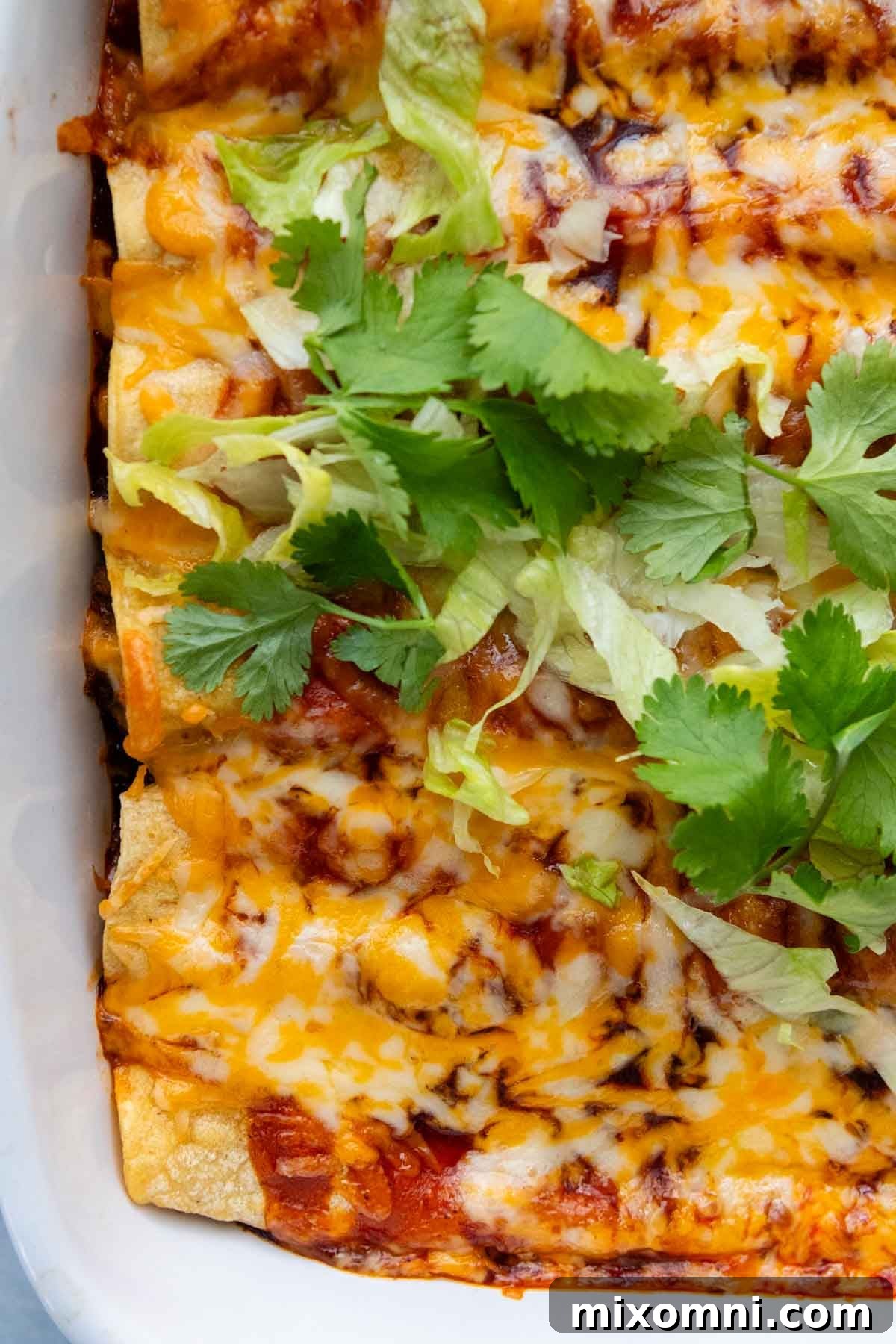 overhead view of the casserole with toppings on.