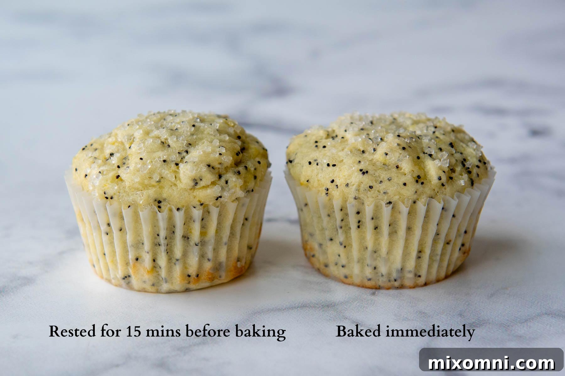 Two baked lemon poppy seed muffins, side by side, one demonstrating a significantly higher, perfectly domed top compared to the other, illustrating the benefit of resting the batter.