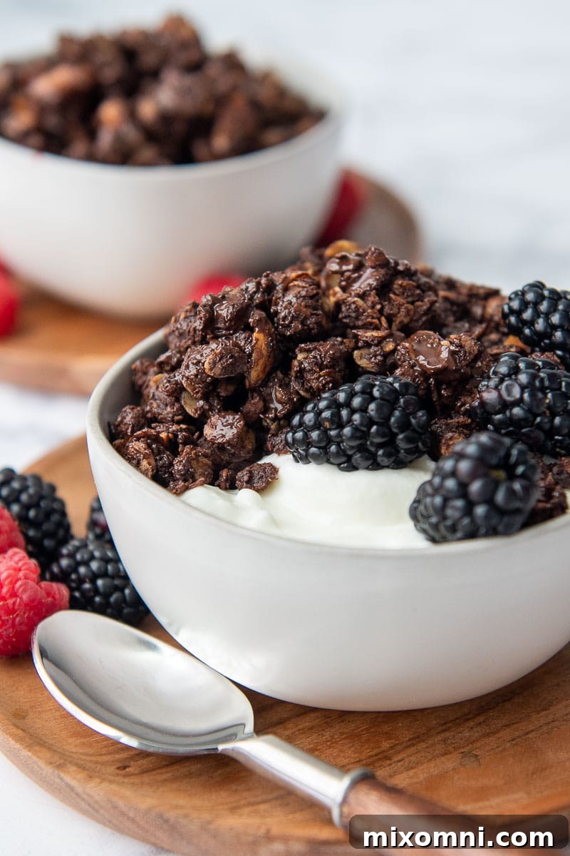 Close-up shot of homemade chocolate peanut butter granola served in a bowl of yogurt with fresh berries and a spoon beside it, showcasing its delicious texture.