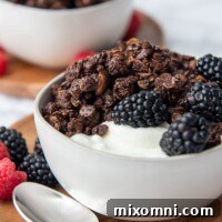 close up shot of chocolate peanut butter granola in a bowl of yogurt with a spoon laying next to it