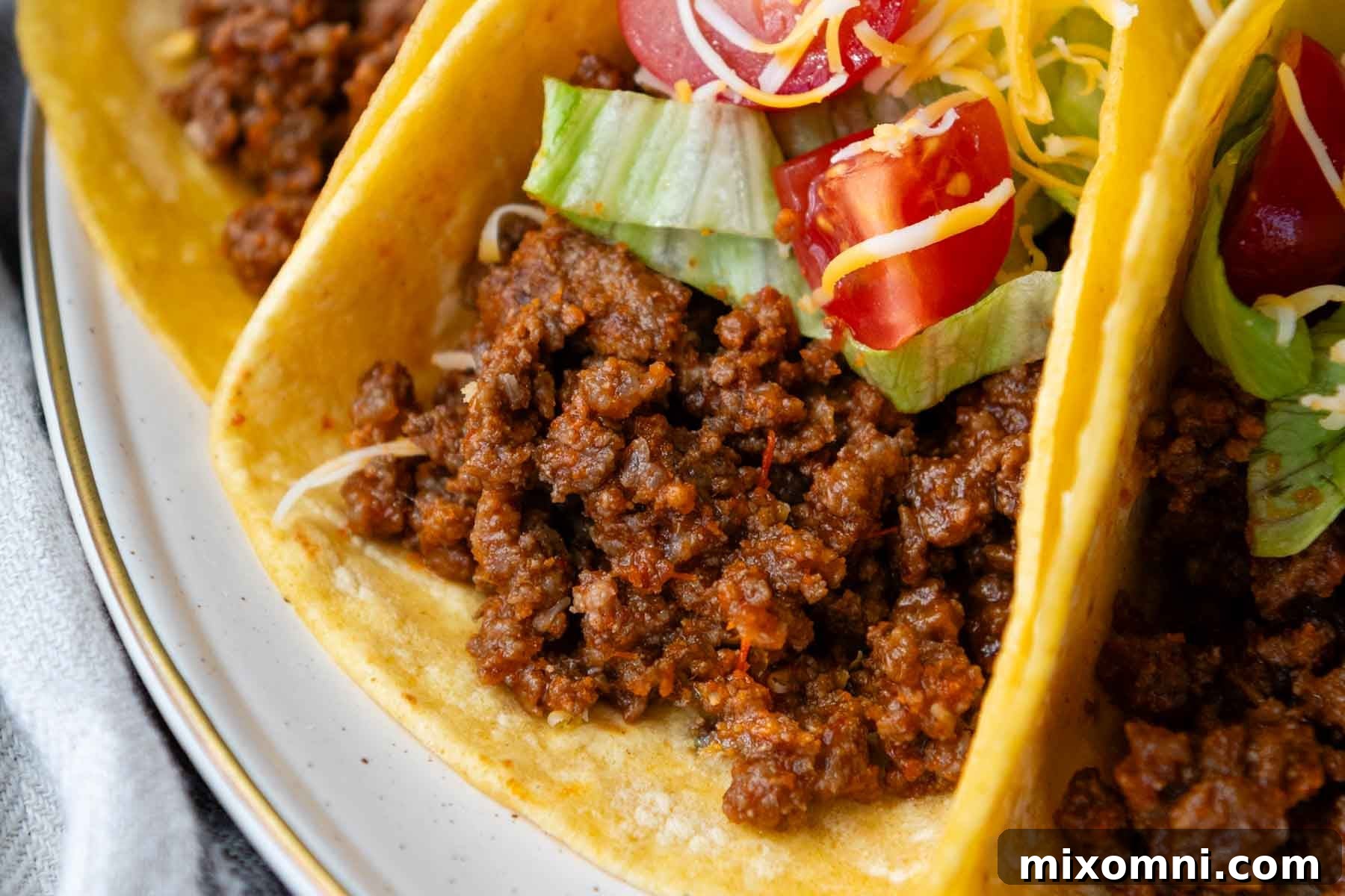 A close-up view of richly seasoned taco filling, ready to be served.